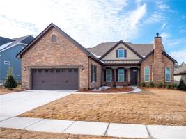 82129 Standing Oak