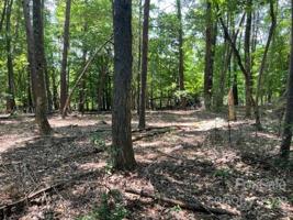 1029 Glade Spring Court