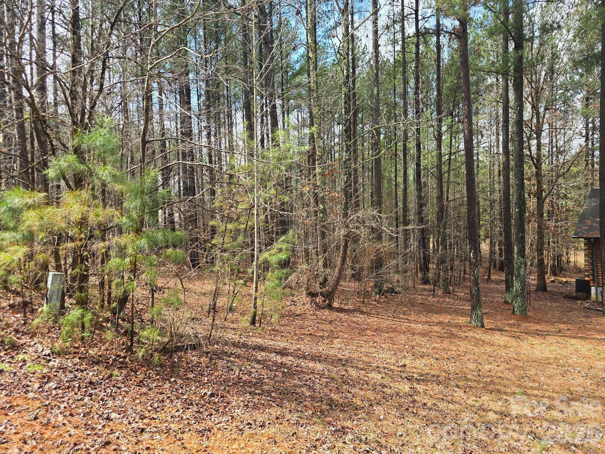 Image 3 Image 3