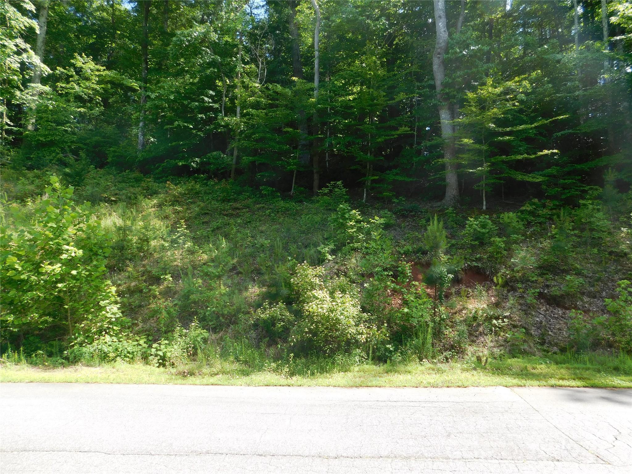 Image 3 Image 3