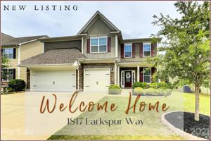 1817 Larkspur
