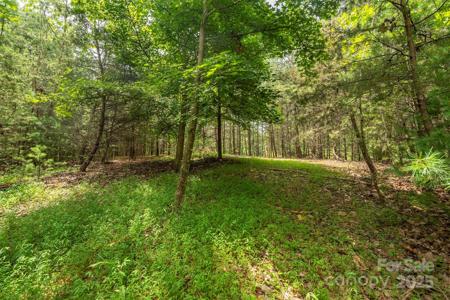 LOT 46 Black Forest Drive