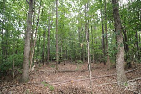 Lot 4 Lake Wylie Drive