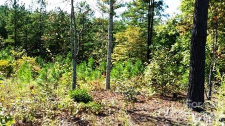 3187 Panoramic Vista Court NE