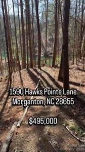 1590 Hawks Pointe Lane