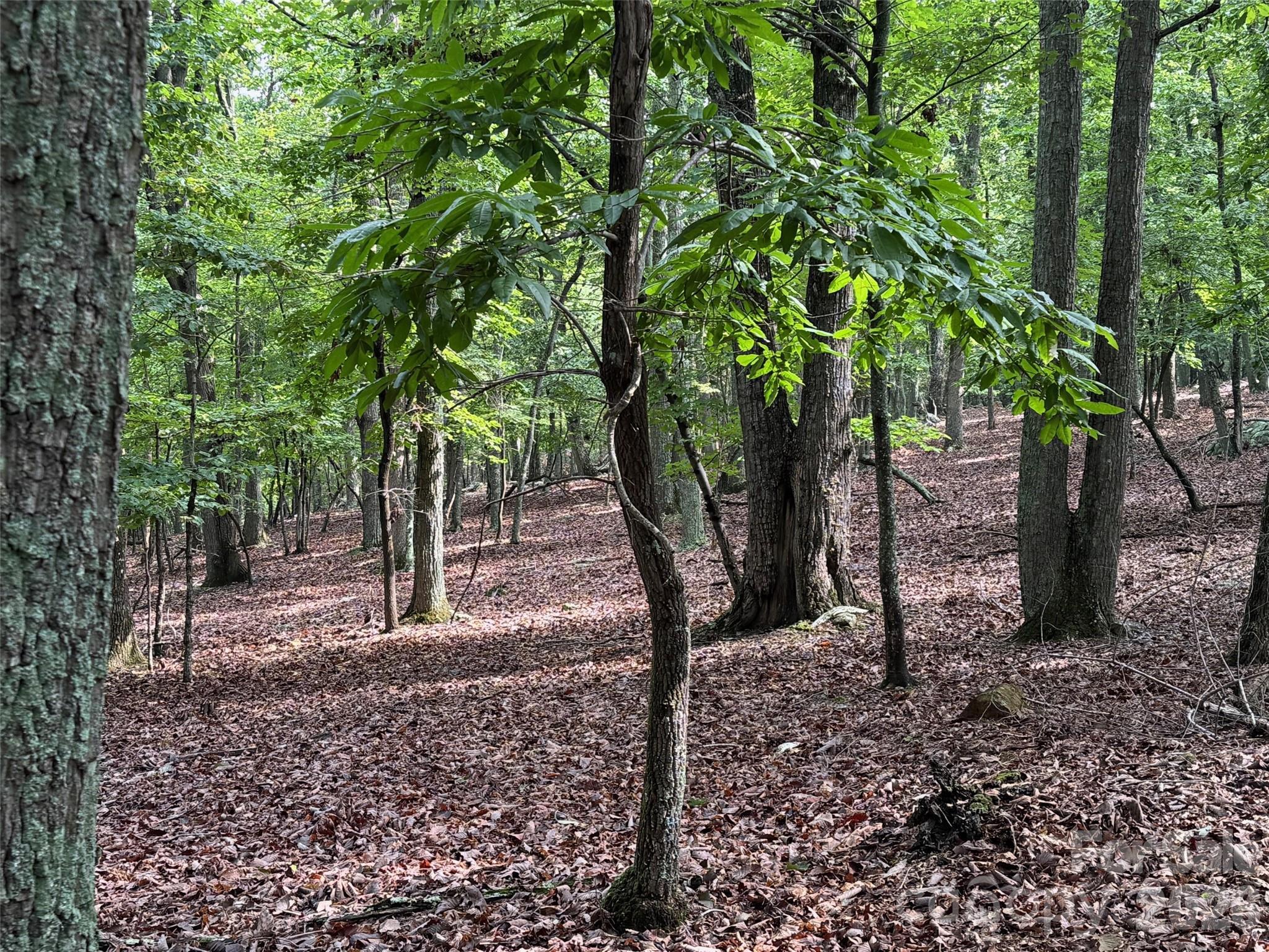 Image 3 Image 3