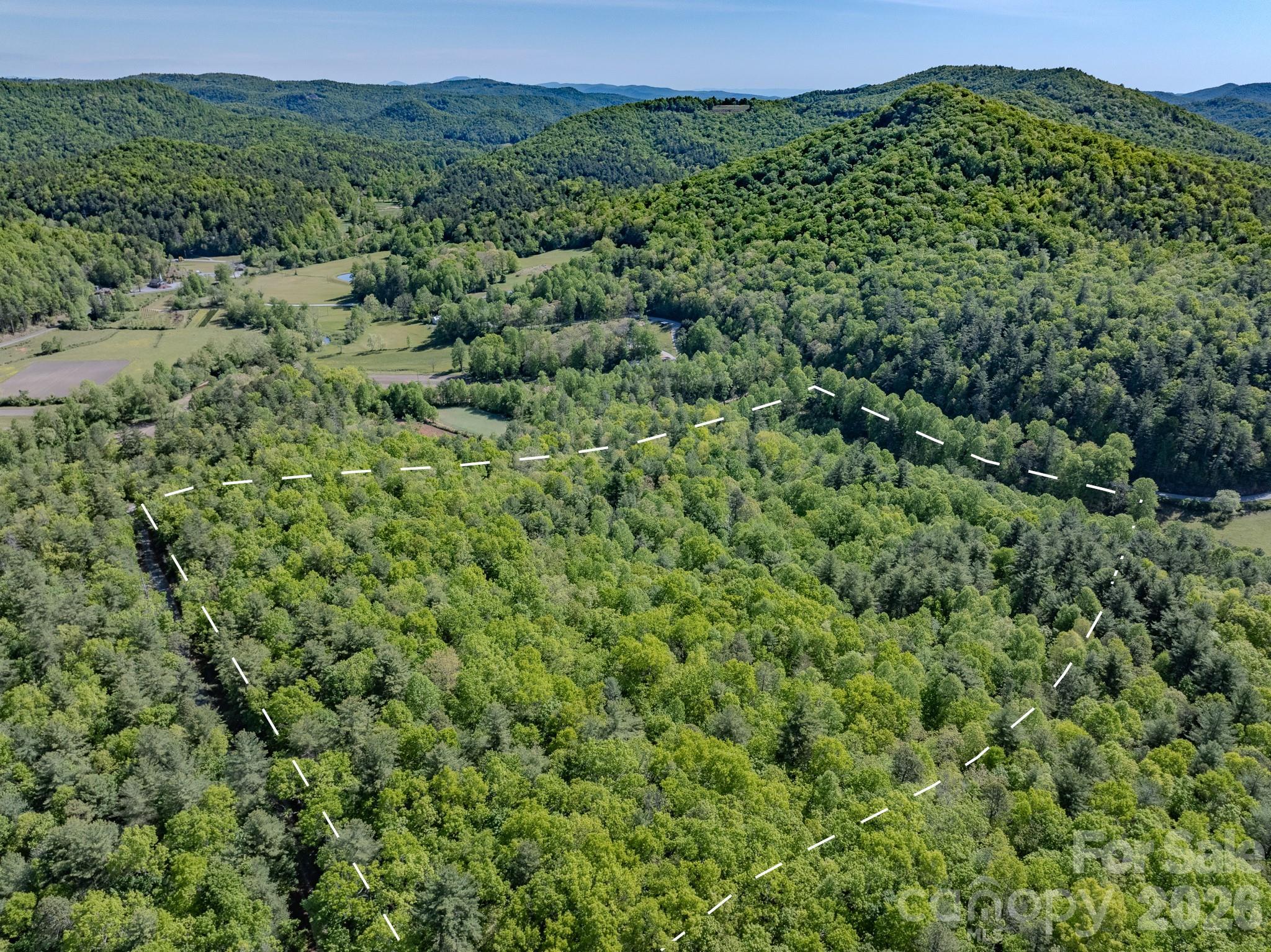 Image 4 Image 4