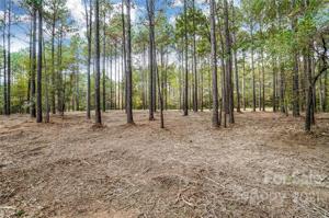 8550-8600 Catawba Cove