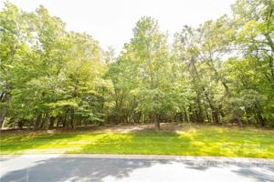 114 Yadkin Falls