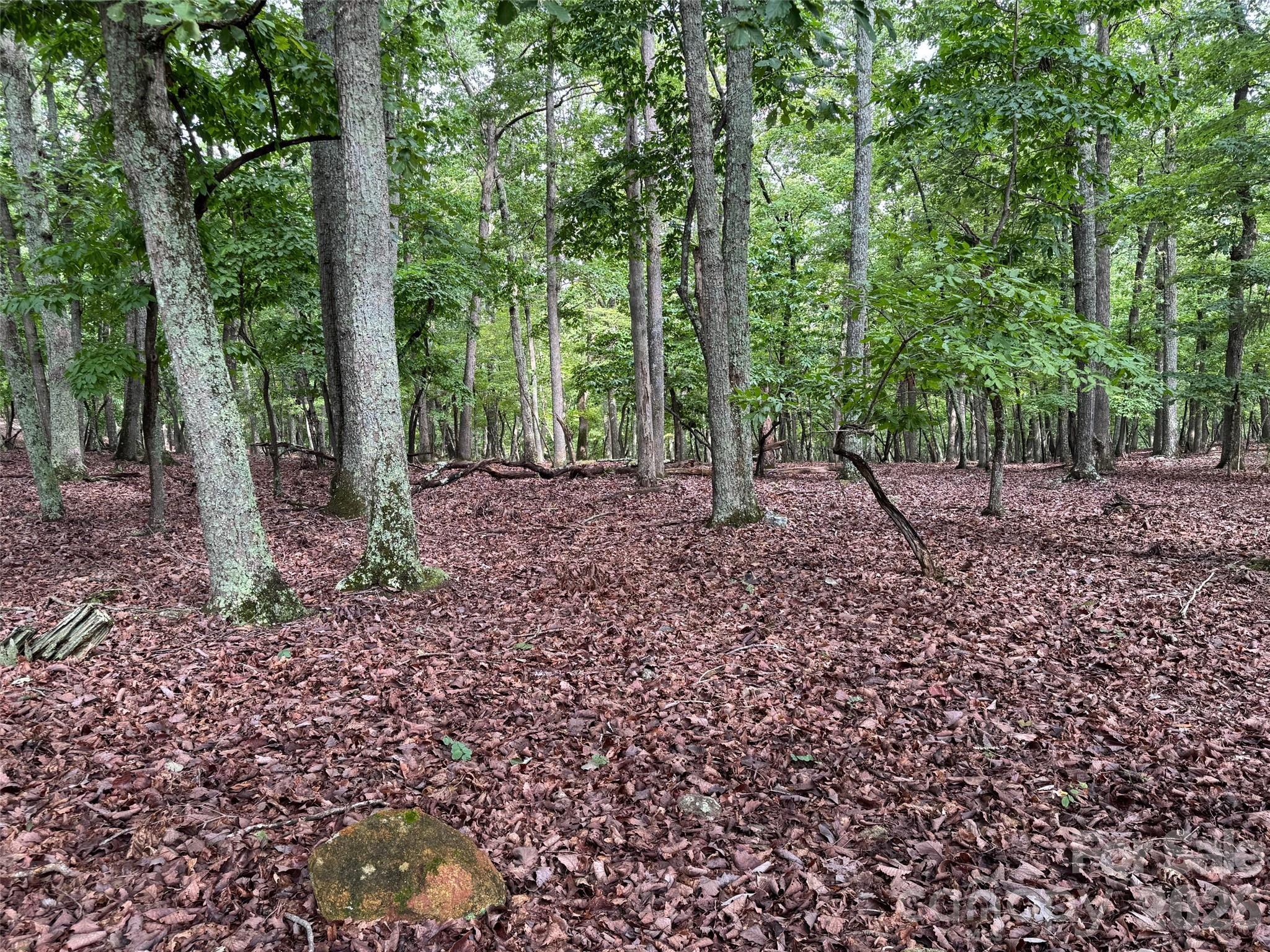 Image 4 Image 4