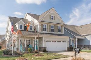 40145 Crooked Stick