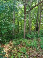 12534 Preservation Pointe