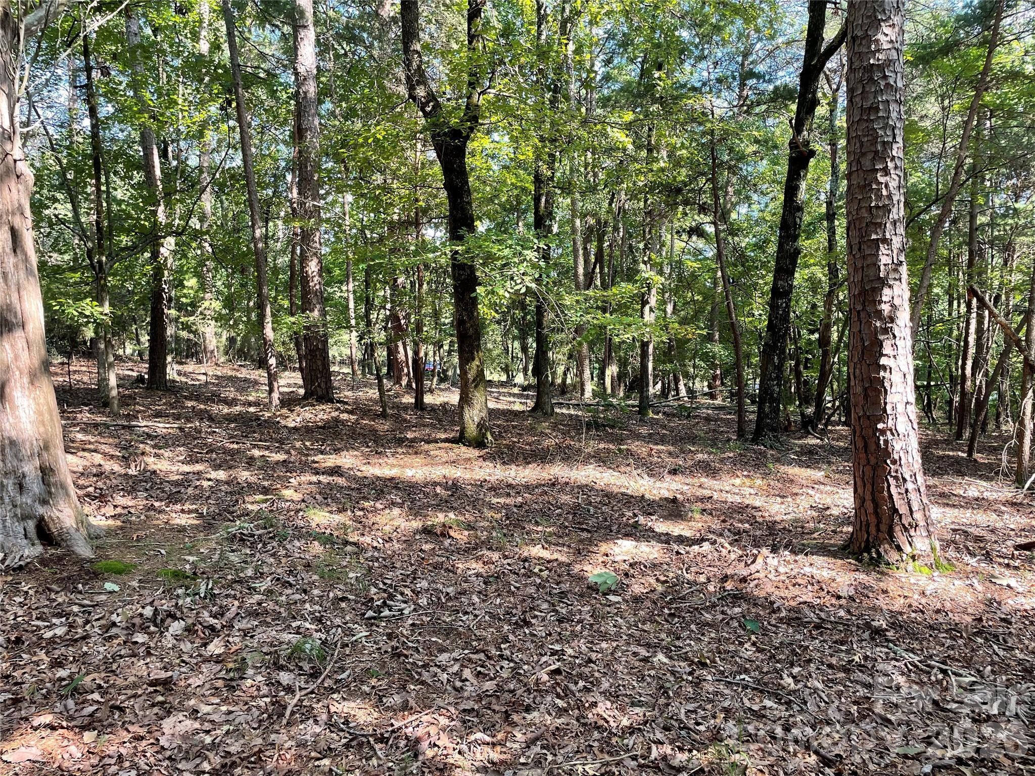 Image 1 Image 1
