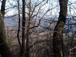 Lot # 21 Youngs Mountain Drive
