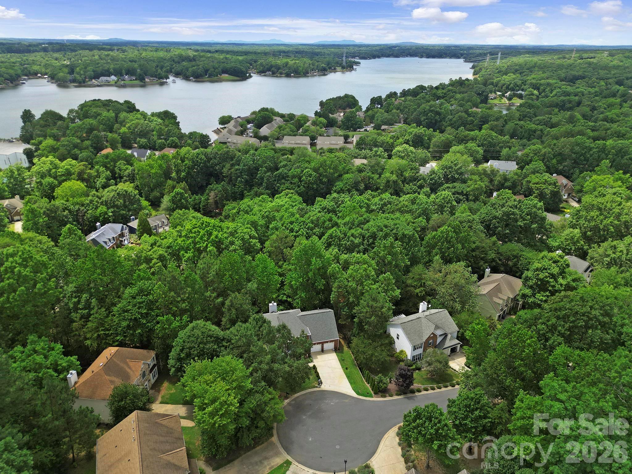 Image 4 Image 4