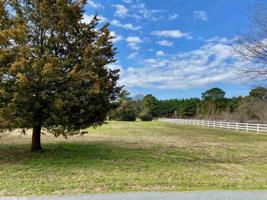 Lot 29 Patia