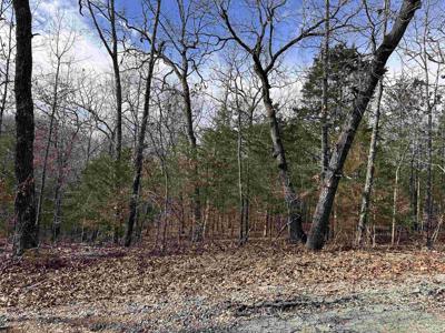 0 Chippewa Drive
