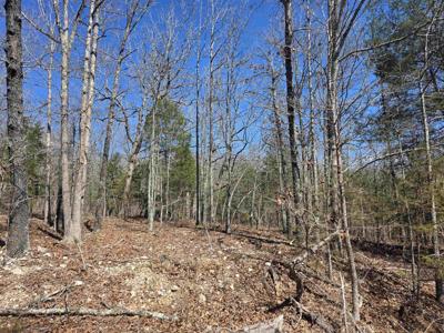 L28 B3 Gheetowaga Drive