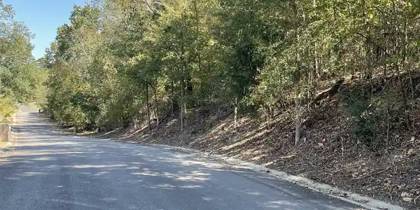 Image 3: Image 3