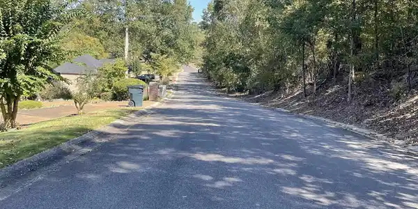 Image 4: Image 4