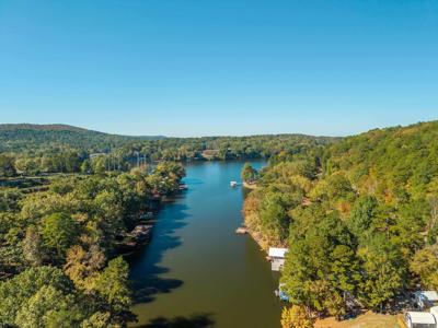 439 Catherine Cove Road