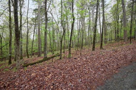Lot 24 Novato Lane