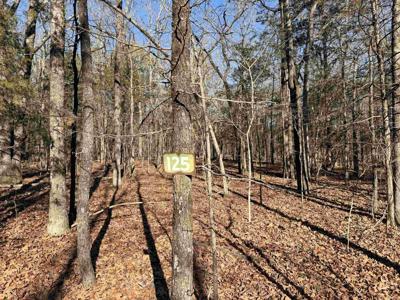 Lot 125 Tannenbaum Rd.