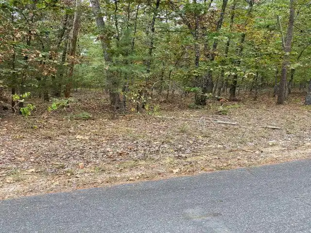 Image 1: Image 1
