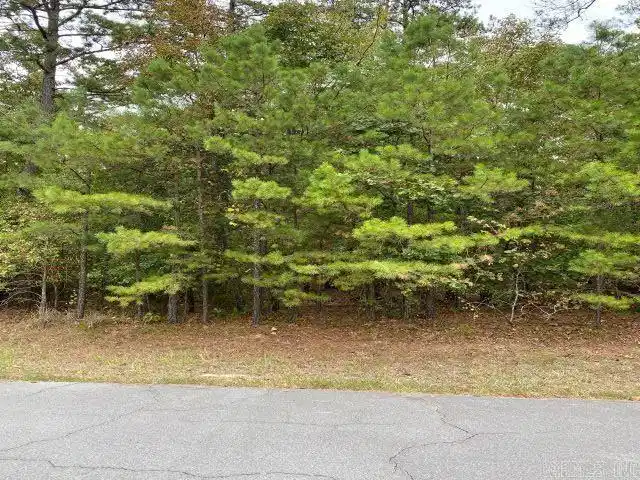 Image 1: Image 1