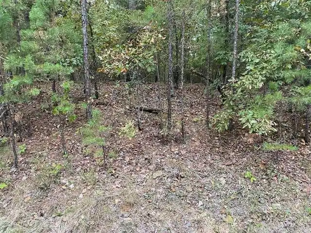 Image 1: Image 1
