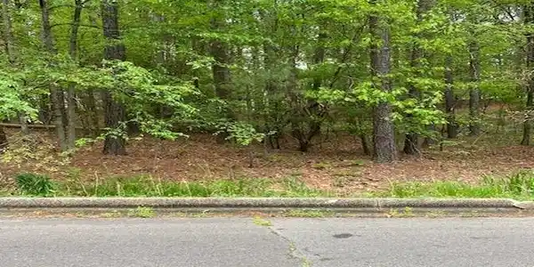Image 2: Image 2