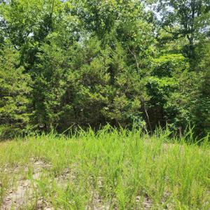 L-83, B-4 Hernando Trace