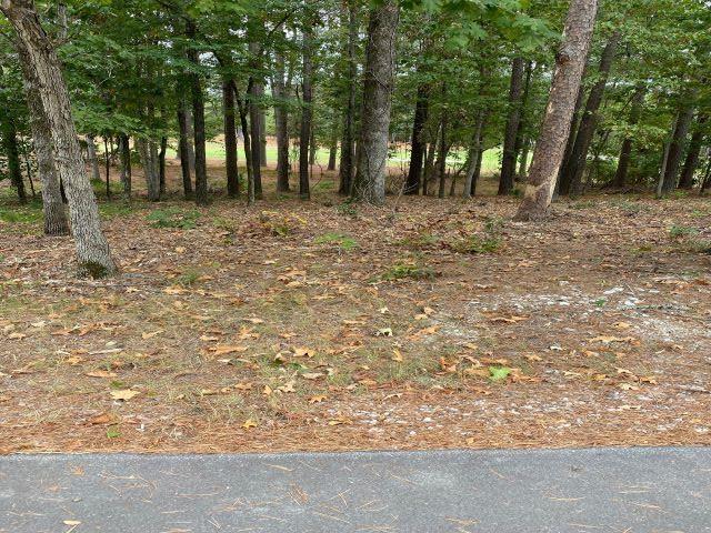 Image 1: Image 1