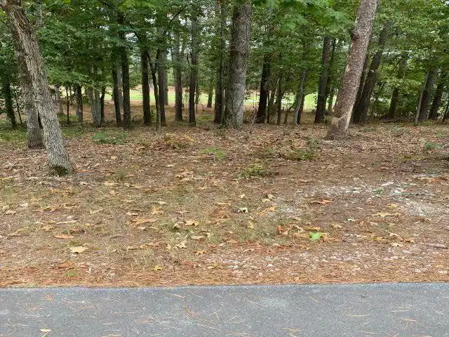 Image 1: Image 1