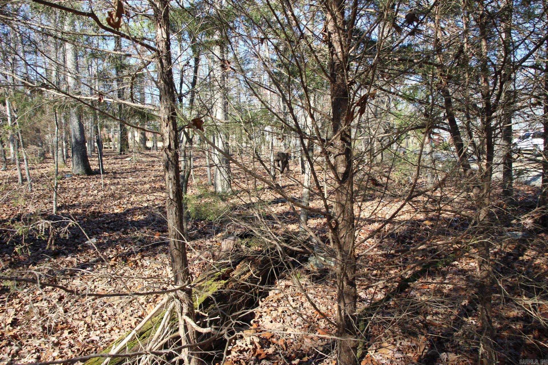 Image 2: Image 2