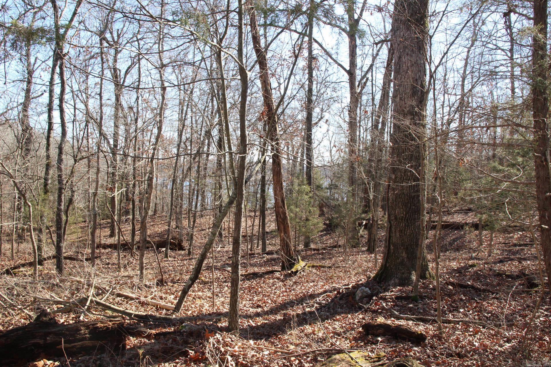 Image 3: Image 3
