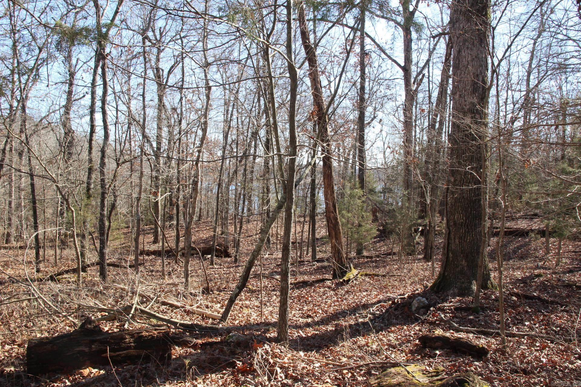 Image 4: Image 4