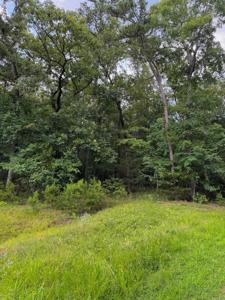 Lot 36 Primrose Creek