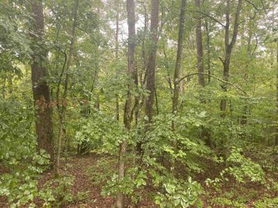 Lot 31 Marcos Place