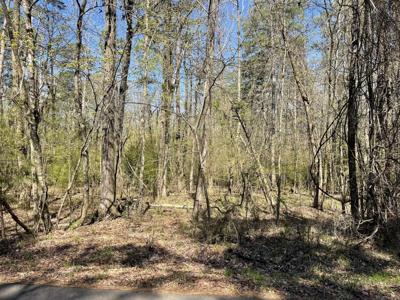 Lot 49 Costa Del Lago Lane