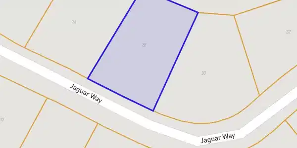 Jaguar Way Road