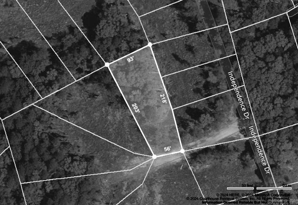 Image 1: Image 1