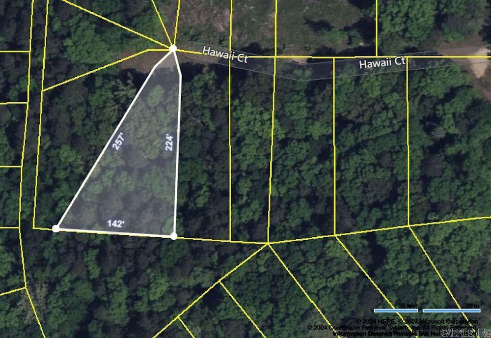Image 1: Image 1