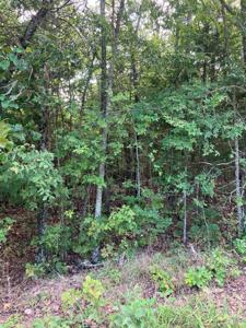 TBD Larkspur Lane