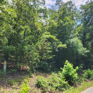 L-15, B-13A Cochise Road