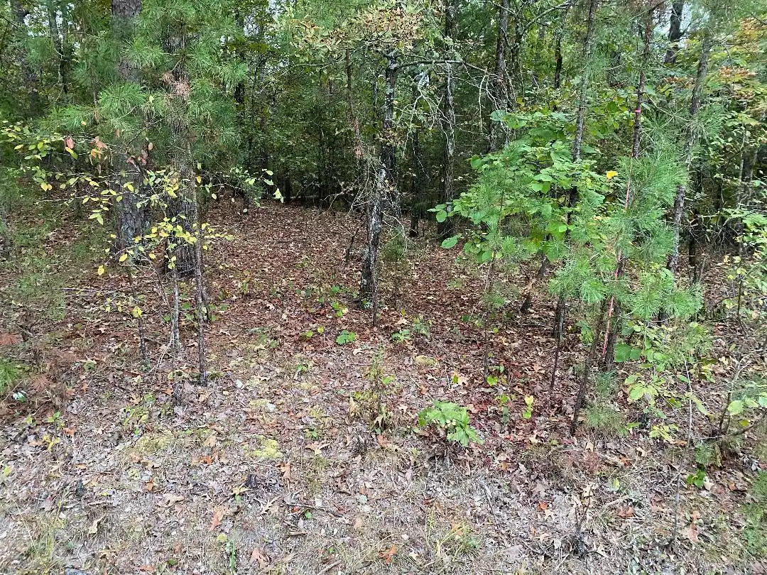 Image 1: Image 1