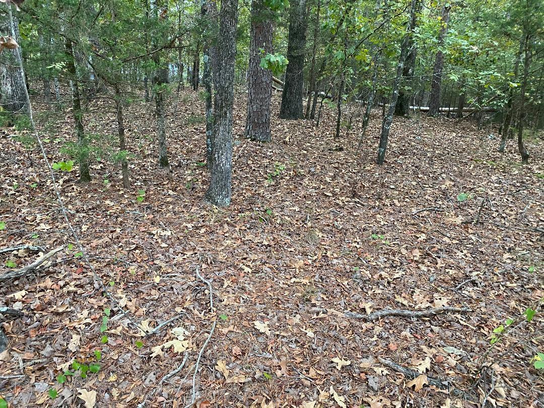 Image 3: Image 3