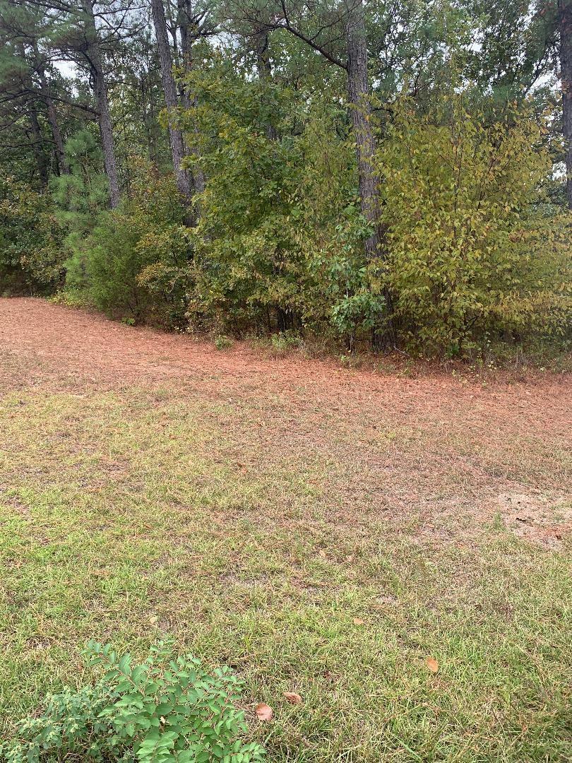 Image 1: Image 1
