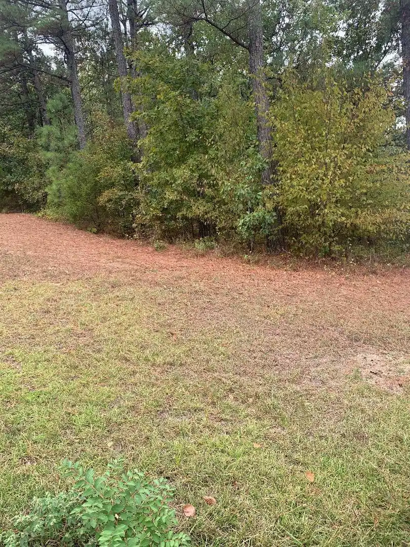 Image 1: Image 1