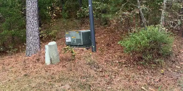 Image 2: Image 2